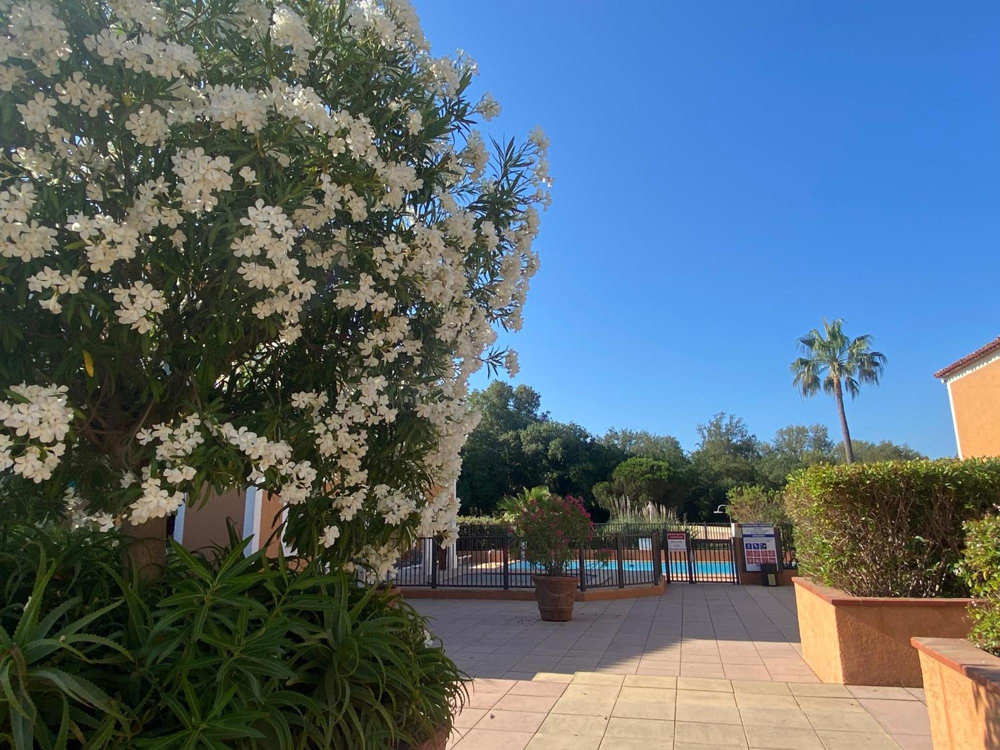 2 Bedrooms, 15 Min Walk To Beach, Ac, Pool & Fiber Internet In A Quiet, Private Gated Domain 5Kms To St Tropez Cogolin Luaran gambar